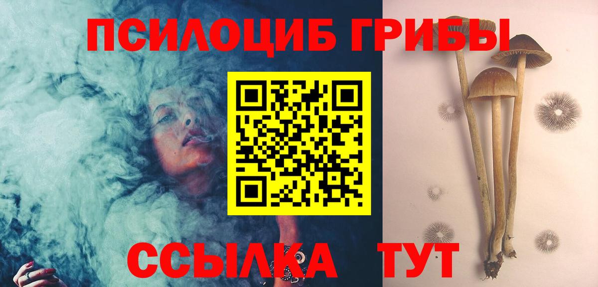 Каменка  Псилоцибиновые грибы прущие грибы  Вход с VPN 